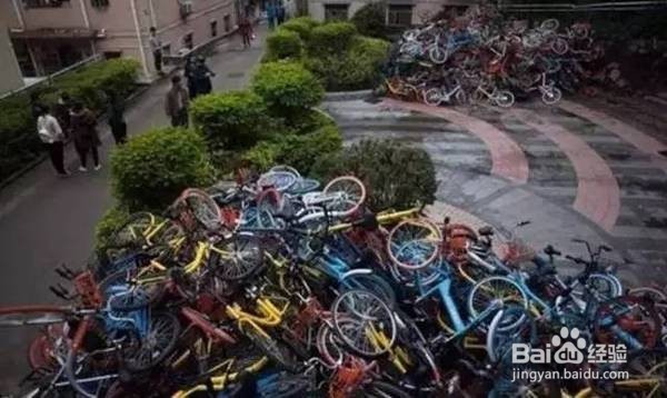 摩拜 ofo 小蓝 小明共享单车需要你我的呵护