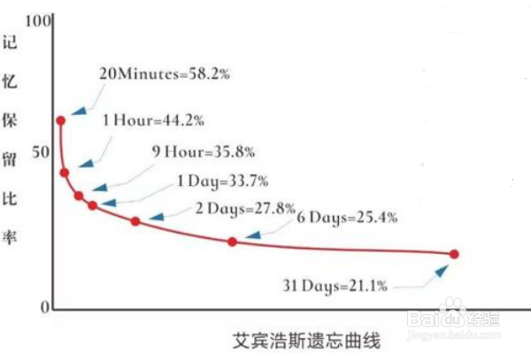 怎样开发右脑的记忆力的潜力