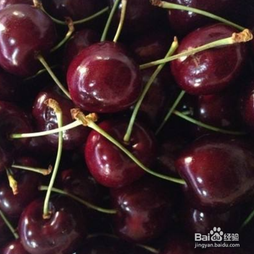 车厘子适合什么地方种植