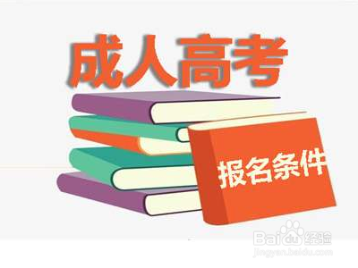 大专怎么报考本科