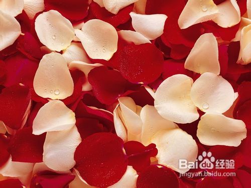 自制美白玫瑰面膜