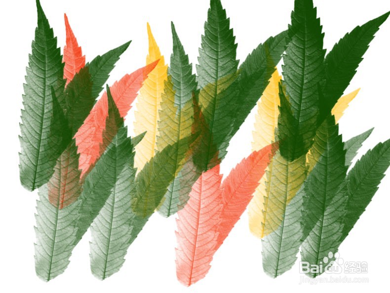 PS画笔的下载安装和导入使用方法