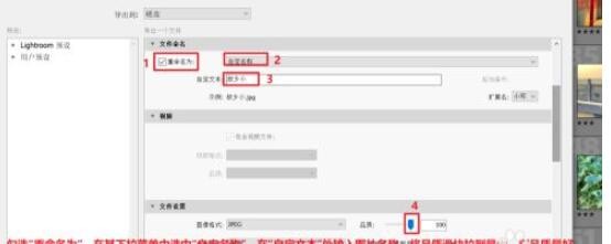 lightroom批量导出照片的操作