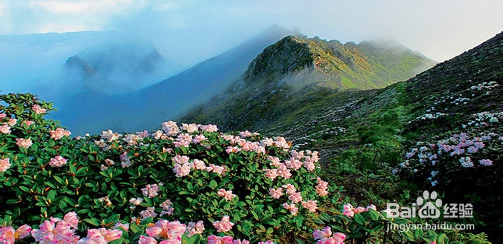 大理古城游玩推荐!