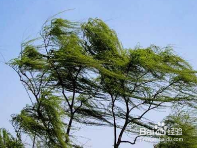 刮风的声音拟声词?