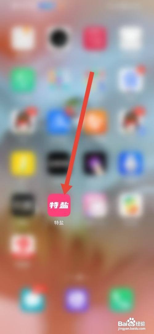 如何使用特盐APP进行提现?