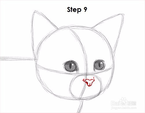 如何画一只小猫——加菲的吃货生活