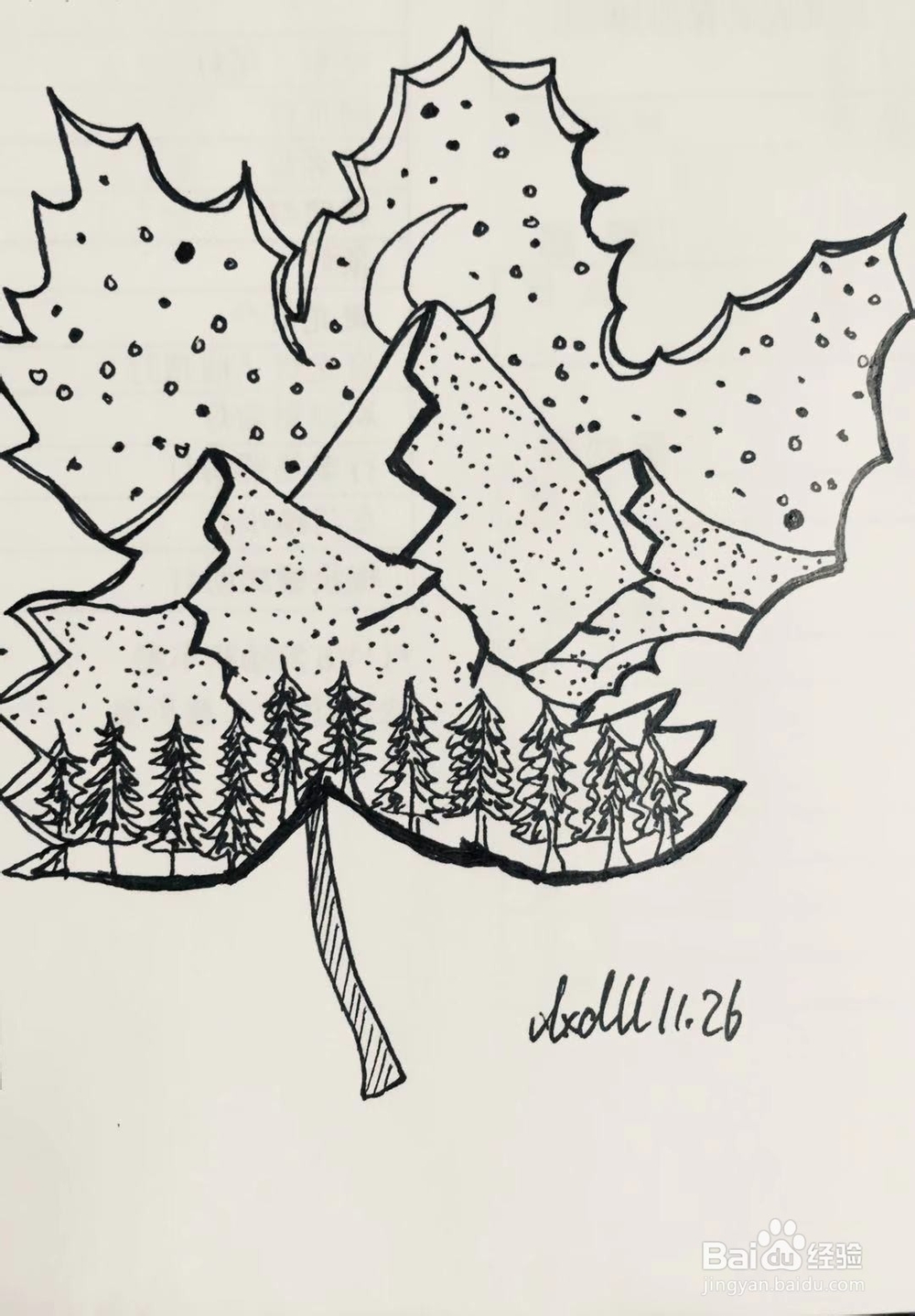 简笔画教程之叶子