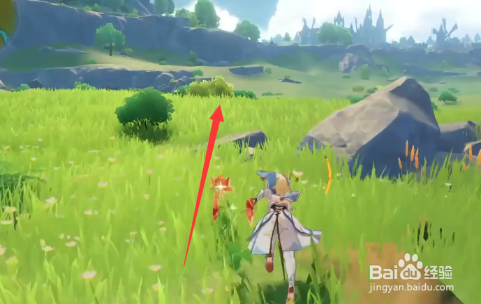 原神风洗的原野位置在哪