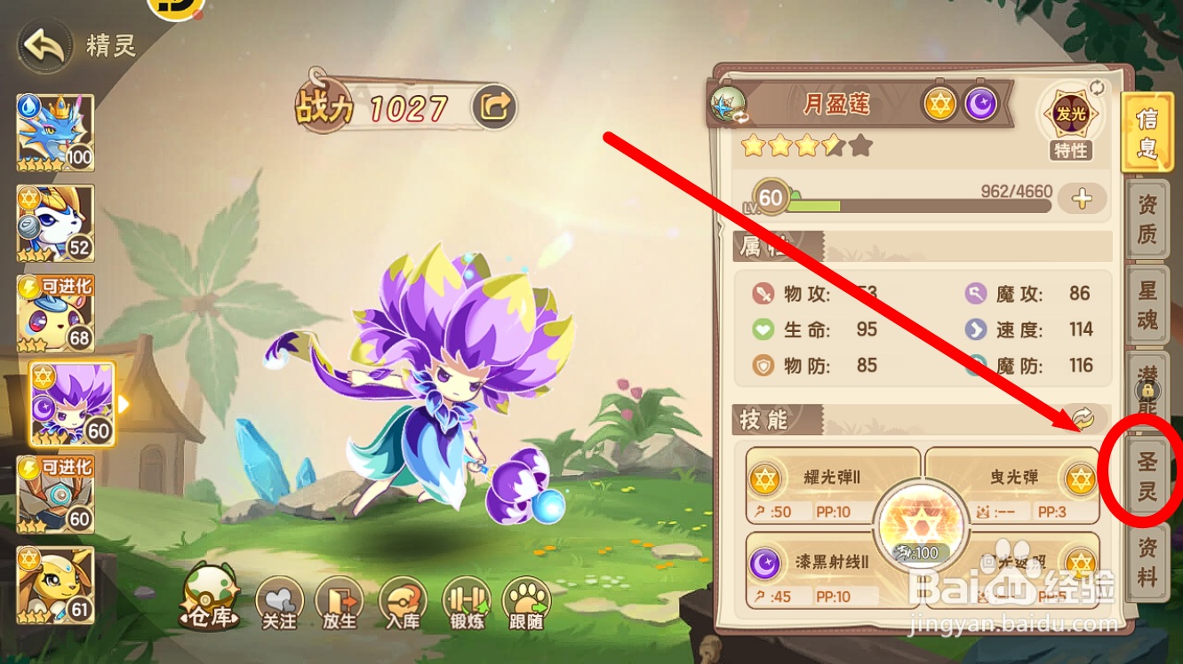 西普大陆怎么查看【月盈莲】推荐圣装套装效果