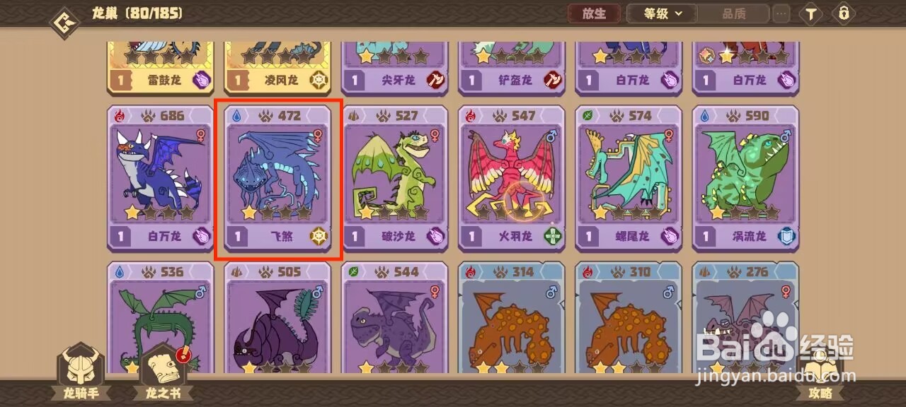 驯龙高手旅程飞煞怎么穿戴珍宝？