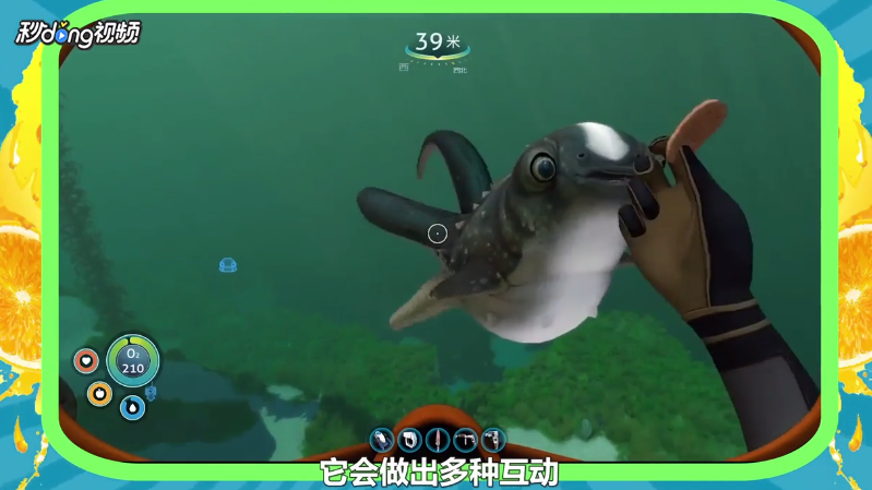 深海迷航抱抱鱼的作用