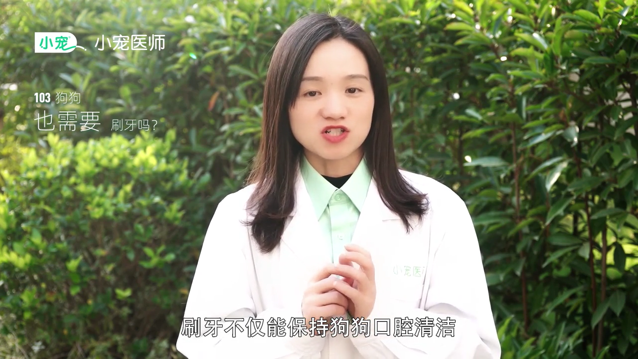 狗狗需要刷牙吗