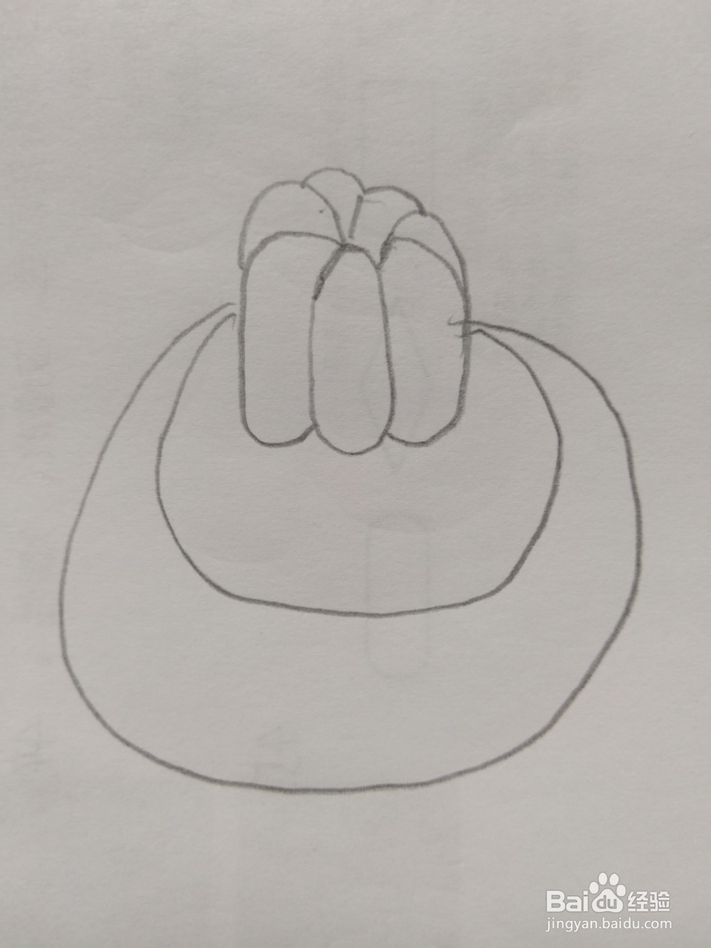 简笔画山竹画法4