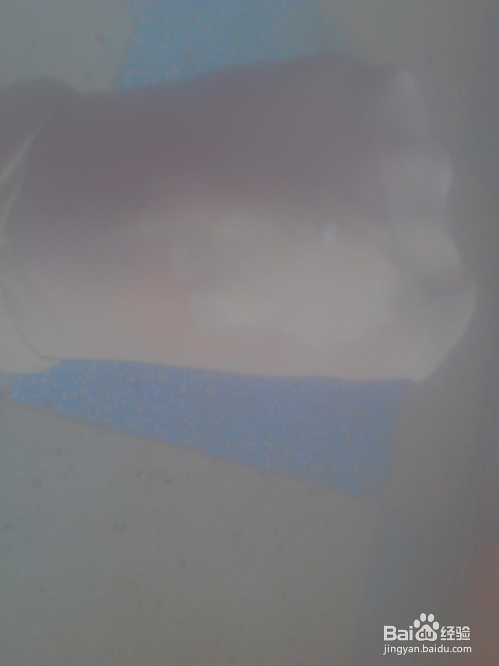 丝袜不小心破洞了要脱丝了怎么办