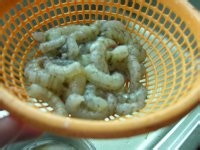 菠萝炒虾仁怎么做才好吃