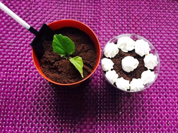 简单易学木糠杯