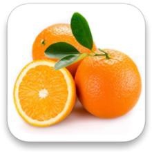 怎样教宝宝识事物