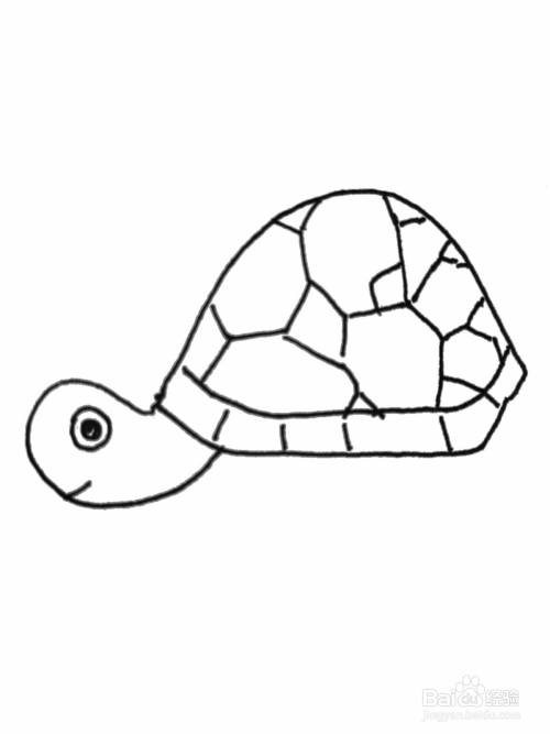 简笔画小乌龟绘画教程