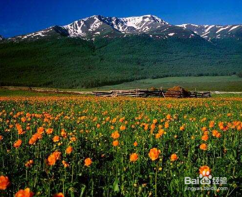 2018放假，喀纳斯出游指南