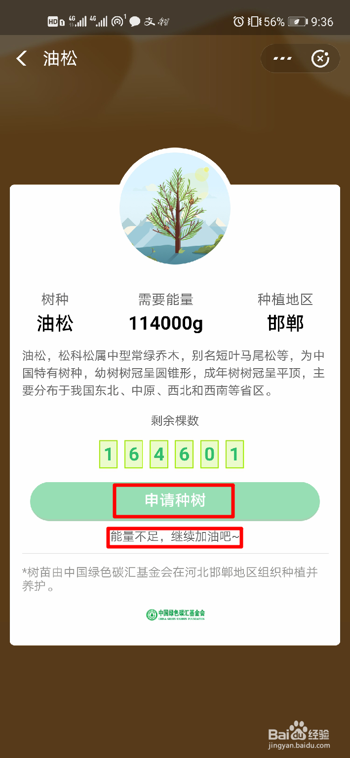 支付宝如何种树