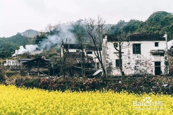 2020年清明节出游怎么防新冠肺炎