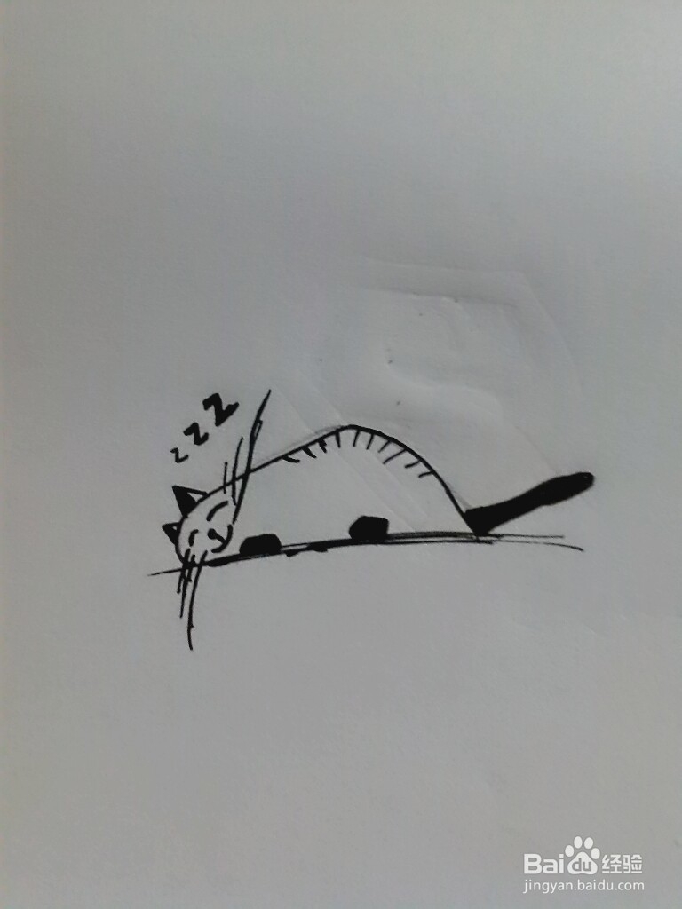 如何简单快速的画小猫的简笔画
