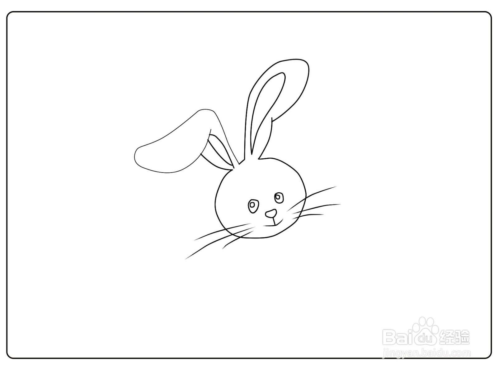 简笔画兔子