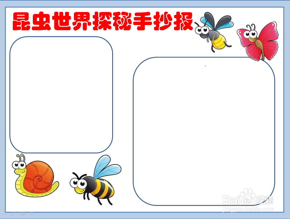 昆虫世界探秘手抄报图片