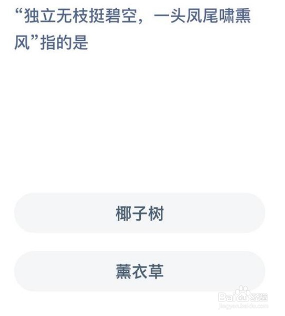 独立无枝挺碧空一头凤尾啸熏风指的是蚁新村答案