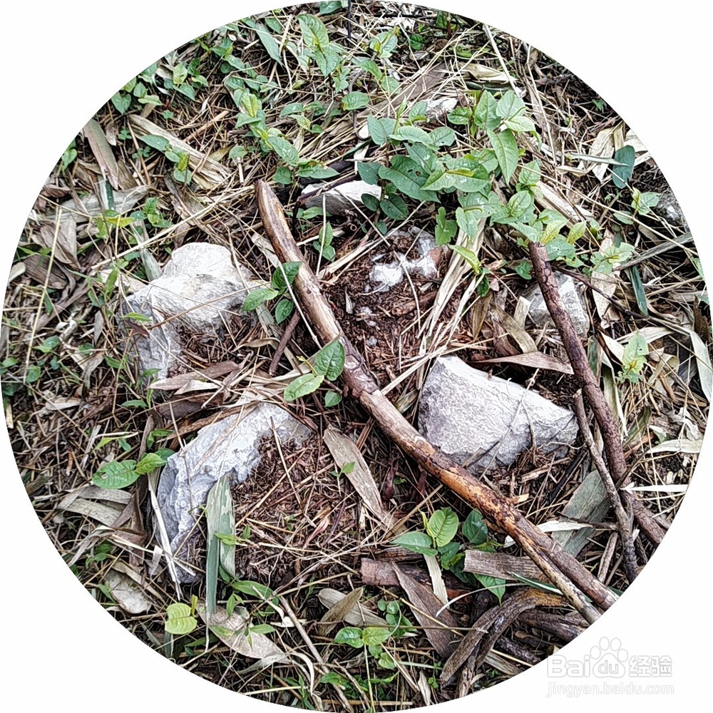 高边坡最上方的清理要点