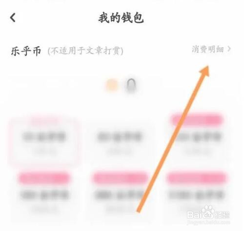 LOFTER软件如何查看消费记录信息