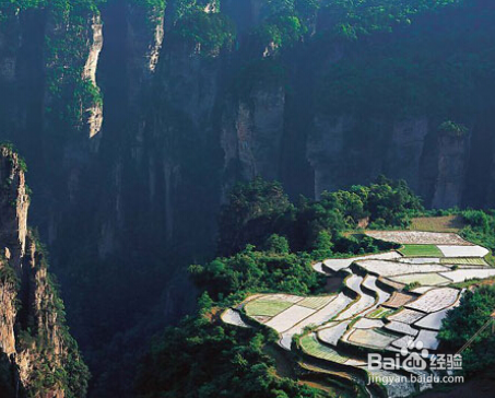 你会去询问你的朋友还是去百度查找旅游地点