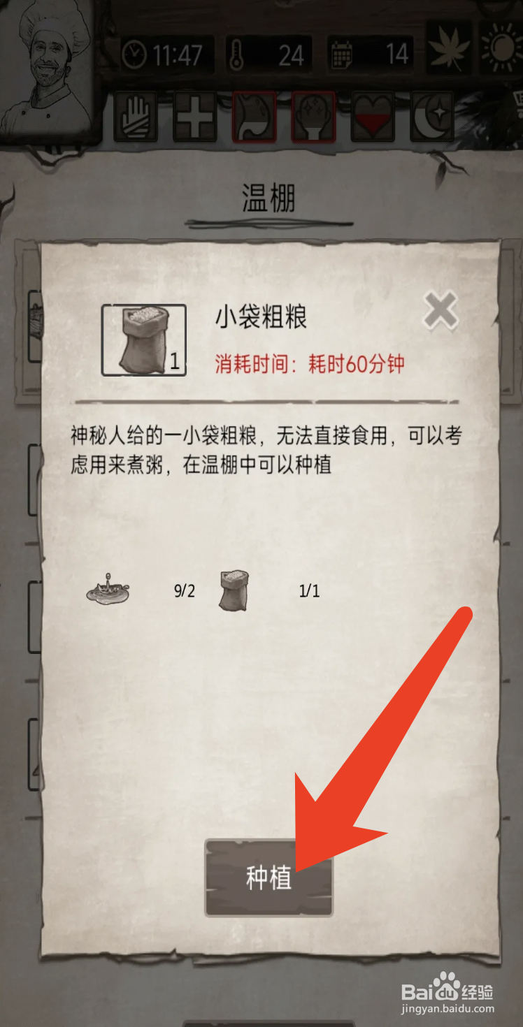 荒岛日记孤岛“小袋粗粮”的种植方法