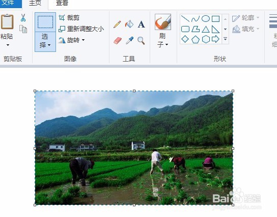 Edge怎么样剪裁网上图片 如何用edge浏览器截图