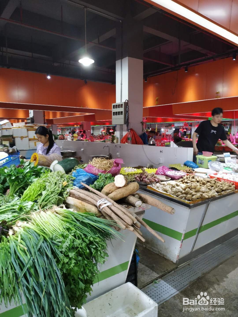 光明稻田农场一日游攻略