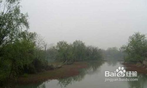 杭州西溪湿地旅游攻略