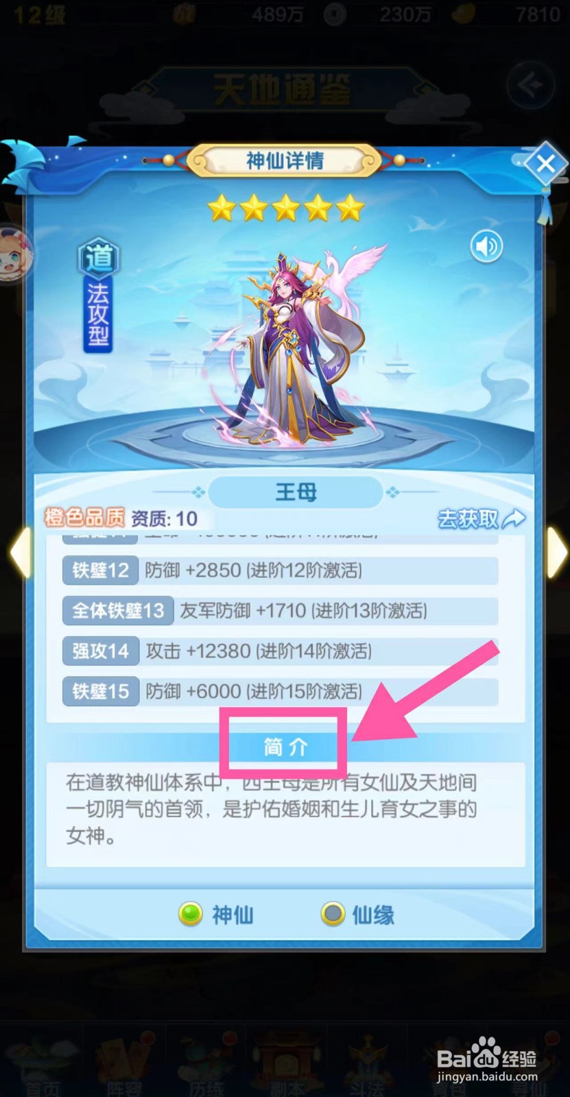 道友请留步怎么查看王母的简介