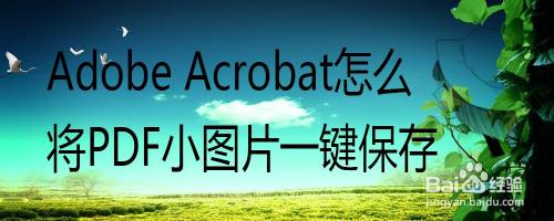Adobe Acrobat怎么将PDF小图片一键保存