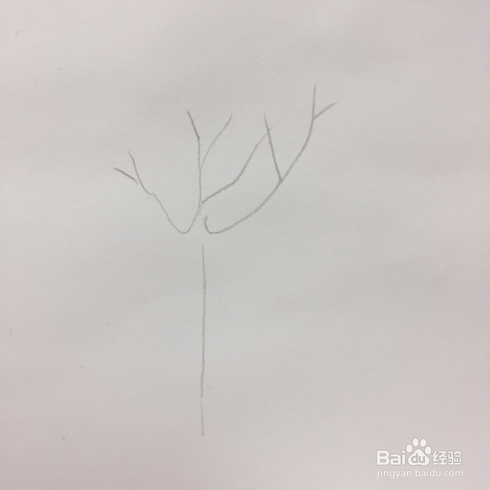 马克笔画樱花树教程