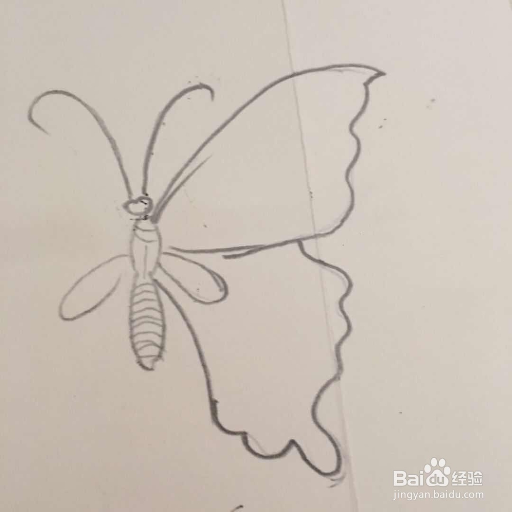 怎样画蝴蝶的简笔画
