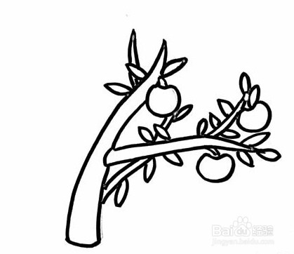 如何画苹果树简笔画?