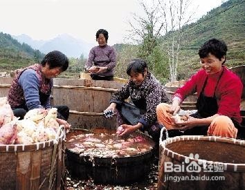 红薯怎么做成粉