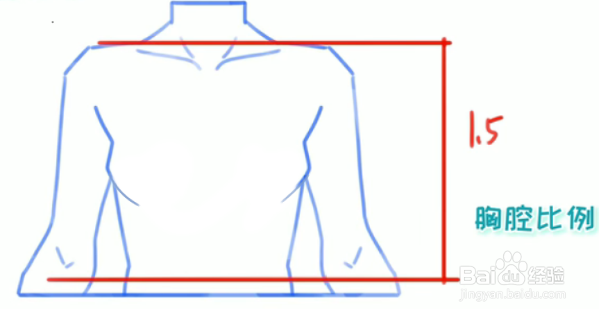 绘伴板绘教程-动漫人物比例画法