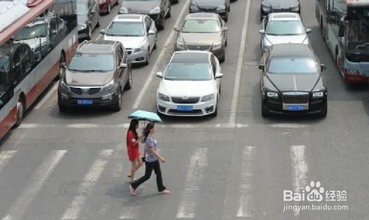 行人如何礼让斑马线