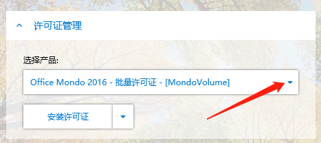 Win10系统如何安装Office许可证