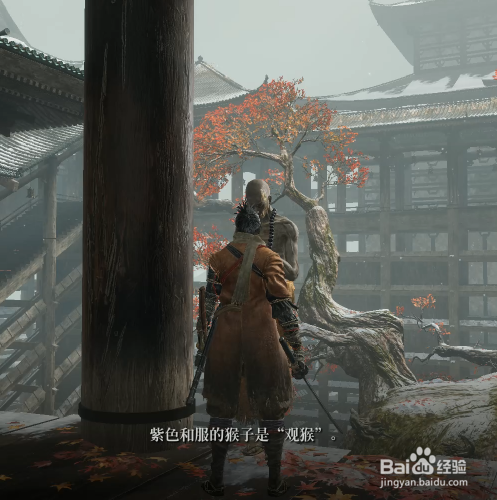 只狼影逝二度幻廊怎么抓4只猴子
