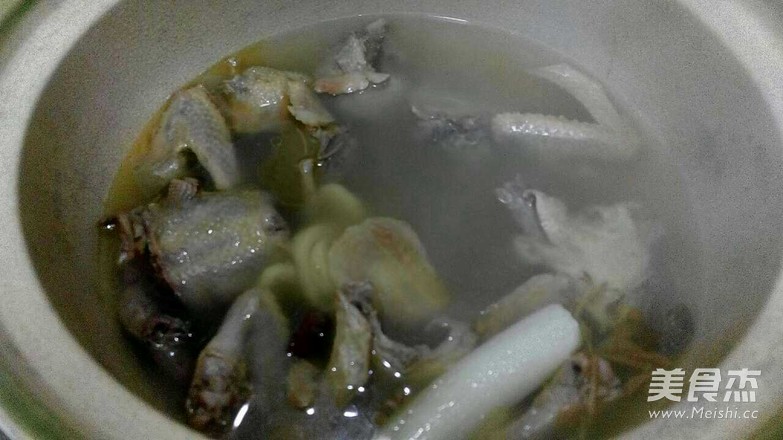 炖鸽子的家常做法