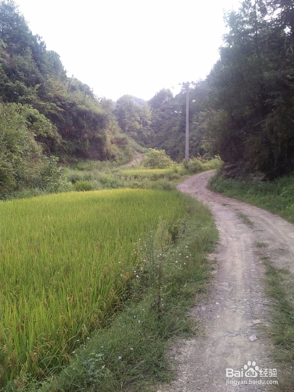 如何编写旅游攻略