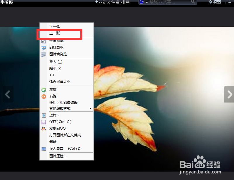 如何使用可牛看图的上一张功能
